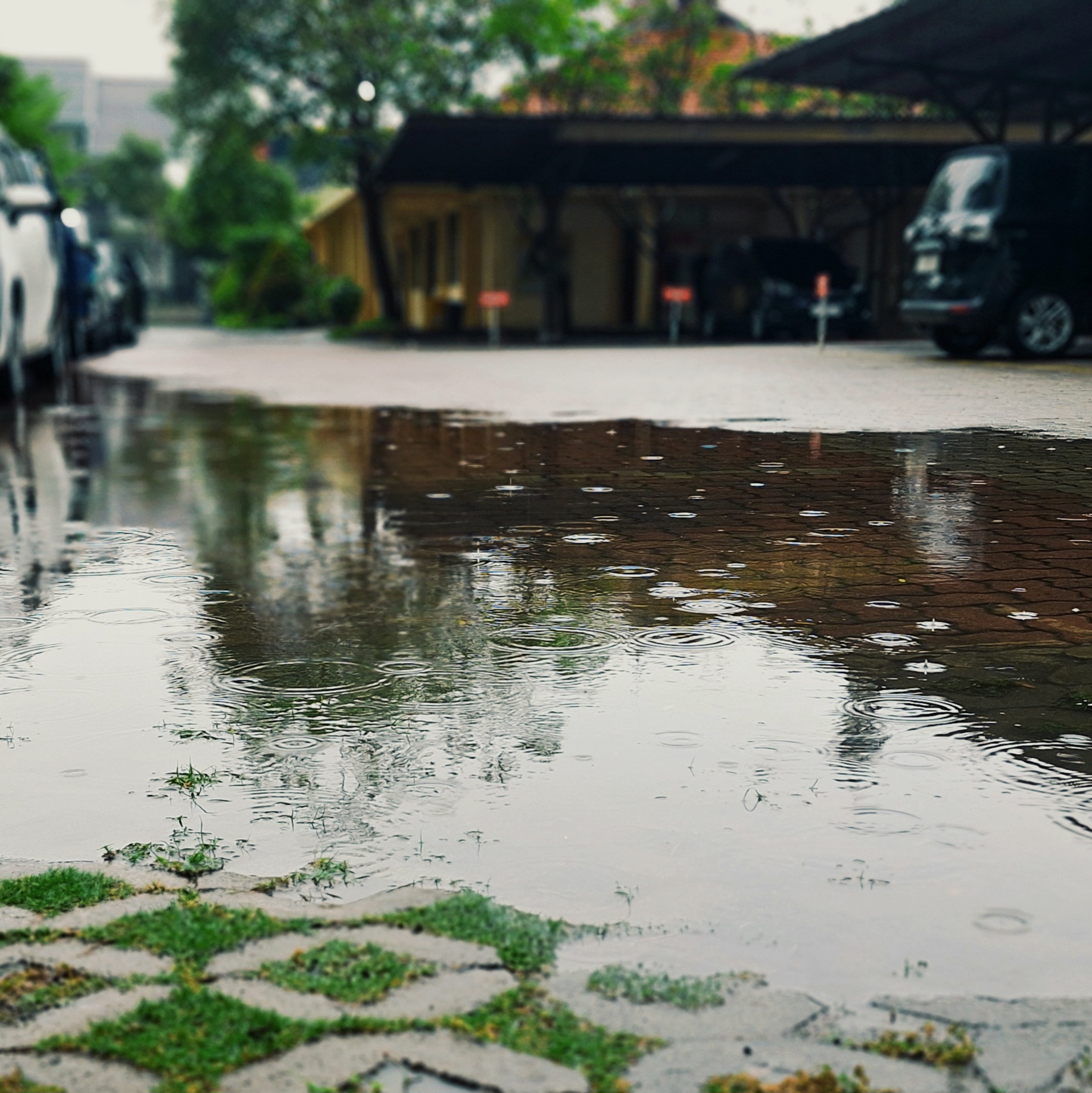 #potretfisip | FISIP's pov in rain