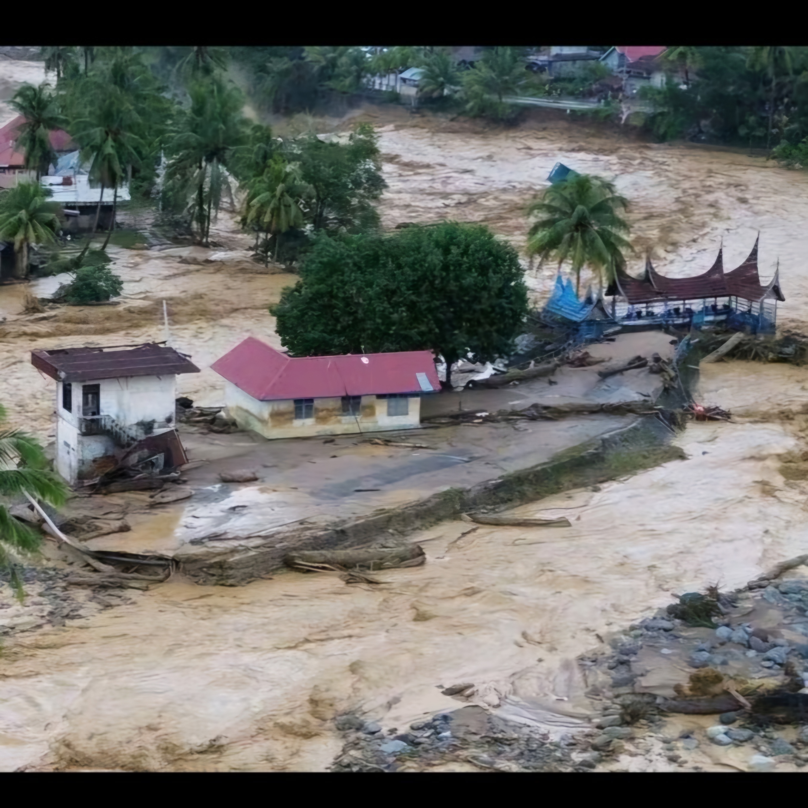 #sepotongpikiran | Bencana Alam Sumatera: Suara Mahasiswa FISIP tentang Deforestasi, Ketidakadilan, dan Masa Depan Lingkungan