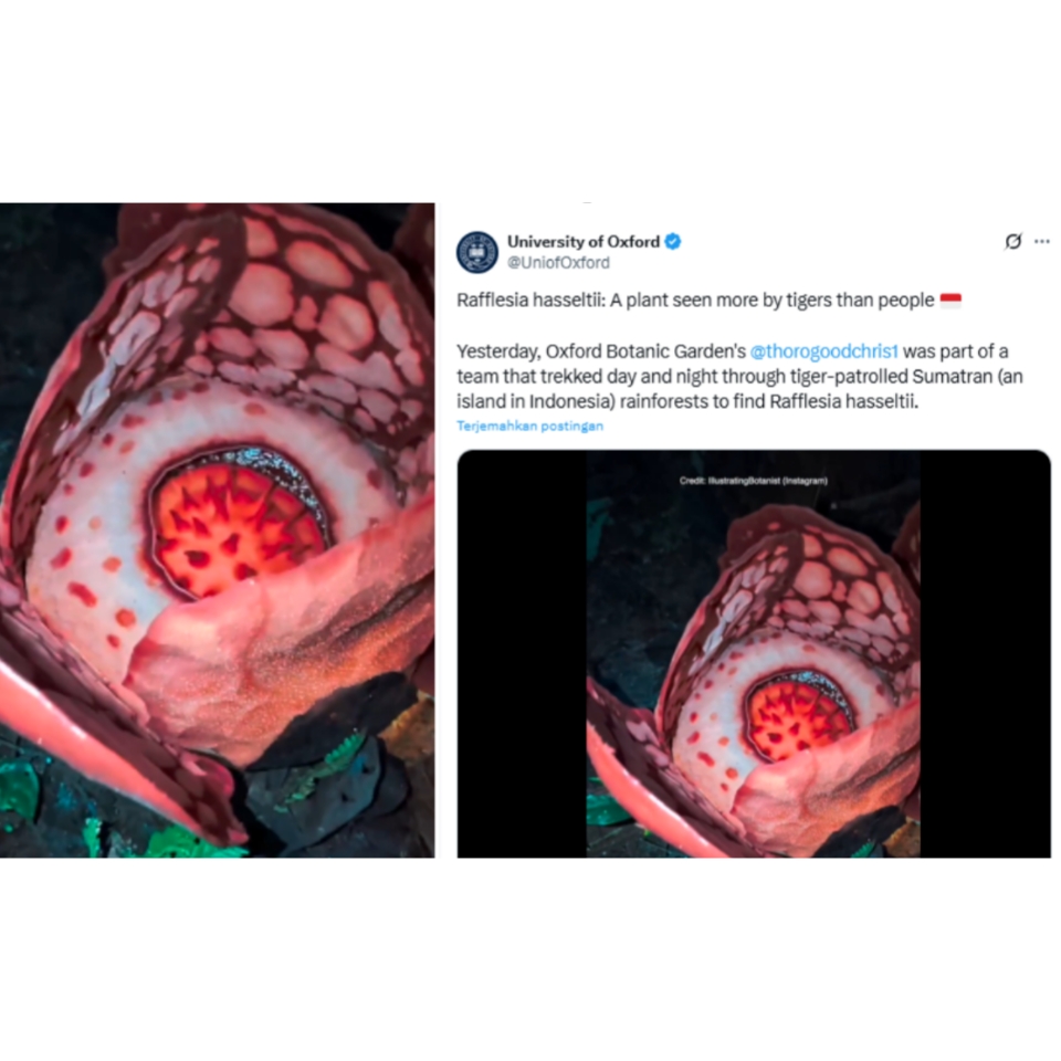 #sepotongpikiran | Kasus Oxford Tak Cantumkan Peneliti Indonesia: Suara Mahasiswa FISIP UNTAG Surabaya soal Etika, Pengakuan, dan Superioritas Institu